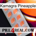 Kamagra Pineapple 26